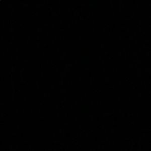 Meet your Posher, Serena